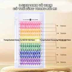 Mi chùm Màu Cluster color 120 Cụm Cong 3D, Mix Màu Hỗ Trợ Trang Điểm, Makeup, Nối Mi
