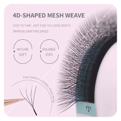 Mi 4d fan Nhật W, mi hoa nở 4D, gốc mi dẹp, siêu bền, mềm