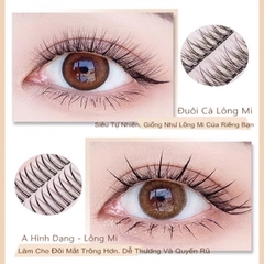 Mi makeup Anine và chùm ngang So Le  (Mi Chữ A (  mi nối thì đổi keo dán make up thành keo nối mi nha mọi người )