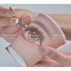 Bộ 5 Cốc Giấy Luyện Tập Nối Mi Sử Dụng Một Lần Tiện Lợi, mi douyin