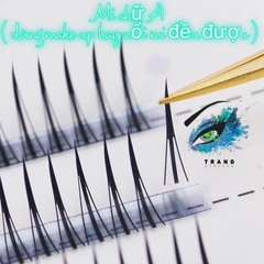 LÔNG MI CHỮ A - FAIRY LASHES ( dùng nối mi hay make up đều được)