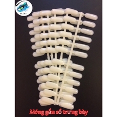 Sổ trưng bày bảng màu móng Nail 216 móng và 308 móng ( hàng mới về sẵn )