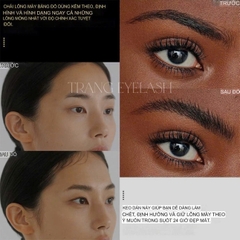 Brow LAMINATION - Uốn Định Hình Chân Mày