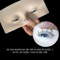 CÁC MÔ HÌNH TẬP NỐI MI, MA NƠ CANH, 𝐌𝐈 𝐆𝐈𝐀̉ 𝐓𝐀̣̂𝐏 𝐍𝐎̂́𝐈 𝐏𝐇𝐈𝐄̂𝐍 𝐁𝐀̉𝐍 𝐆𝐈𝐎̂́𝐍𝐆 CẤU TẠO 𝐓𝐇ẬT