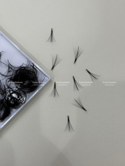 Lông mi Wispy Fan Sẵn 7D