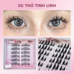Lông mi makeup tự dính có keo sẵn ở chân mi,lông mi mềm