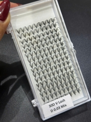 Lông mi chùm sole V Lash 24D,30D,40D