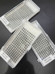 Lông mi chùm sole V Lash 24D,30D,40D