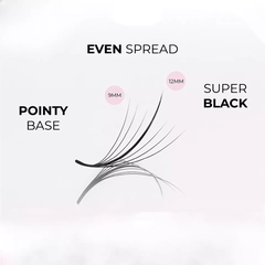 Lông mi Wispy Fan Sẵn 7D