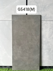 Gạch Ấn Độ 60*120 mã G5418