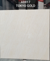 Gạch Ấn Độ 80*80 mã 8817