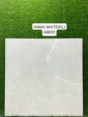 Gạch Ấn Độ 80*80 mã 8830