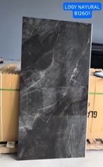 Gạch Ấn Độ 60*120 mã B12601