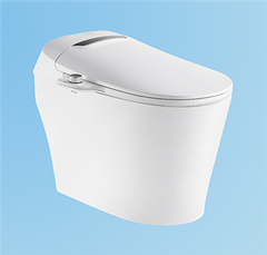 Bồn cầu thông minh Wisdom i20