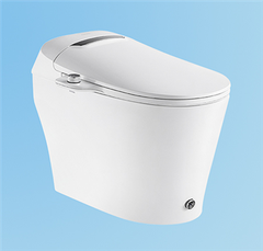 Bồn cầu thông minh Wisdom i20T