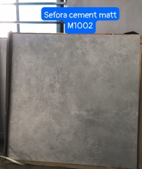 Gạch Ấn Độ 100*100 mã M1002