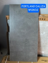 Gạch Ấn Độ 60*120 mã M12602