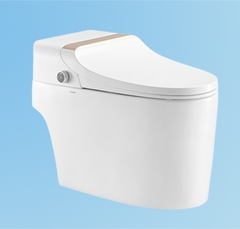 Bồn cầu thông minh Ruili S15