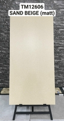Gạch Ấn Độ 60*120 mã TM 12606