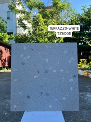 Gạch Ấn Độ 60*60 mã TZ6005