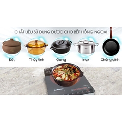 Bếp hồng ngoại Sanaky SNK-2102HG