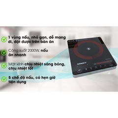 Bếp hồng ngoại Sanaky SNK-2102HG