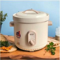 Nồi nấu chậm Bennix dung tích 3L BN-68KC-C/G