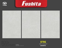 Gạch ốp lát kt 80x120