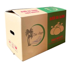 THÙNG CARTON 5 LỚP