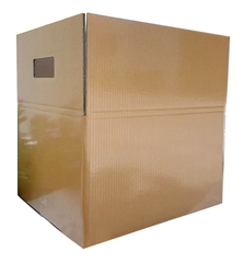 THÙNG CARTON CÁN MÀNG PE CHỐNG THẤM