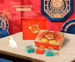 Bánh Trung thu cao cấp Ánh Nguyệt 480g (AN)
