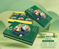 Bánh Trung thu dinh dưỡng cao cấp Dạ Nguyệt Thiên Vũ 480g (DNTV)