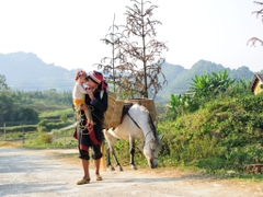 Tour Hà Giang 4 ngày 3 đêm - Khám phá vùng cực Bắc Việt Nam