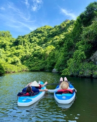 Tour rừng ngập mặn Cát Bà một ngày