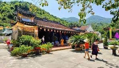 Tour Cù Lao Chàm 1 ngày | Đón tại Hội An