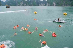 Tour 3 ngày 2 đêm du thuyền Daiichi Luxury Cruise 5 sao - Khám phá Vòng tròn Di sản Lan Hạ Hạ Long
