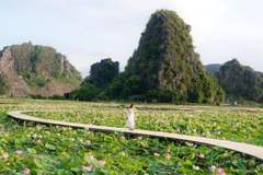 Tour Ninh Bình 1 ngày - Hoa Lư - Tam Cốc - Hang Múa