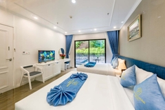 Deluxe Twin or Double Room