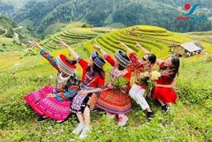 Mù Cang Chải - Đèo Khau Phạ - Tú Lệ / 2 Ngày 1 Đêm