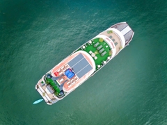 Tour Nửa Ngày Ngắm Hoàng Hôn Vịnh Lan Hạ - Skyway Cruise 5 sao