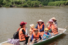 Tour rừng ngập mặn Cát Bà một ngày