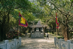 Tour Ninh Bình 1 ngày - Bái Đính - Tràng An - Hang Múa