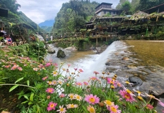 Tour SaPa 3 ngày 2 đêm: Hà Nội - SaPa - Moana - Fansipan - Bản Cát Cát