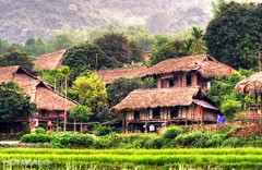 Mộc Châu - Mai Châu / 3 Ngày 2 Đêm từ Hà Nội