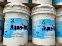 BÁN CHLORINE ẤN ĐỘ 70% AQUA-ORG