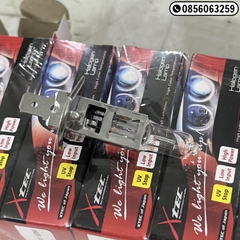VT01196 Bóng H1 - Stex 24V 