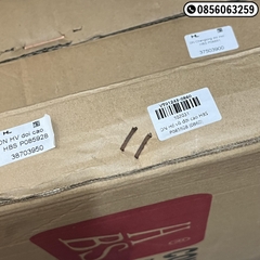 VT01243 DN Hổ vồ đời cao HBS P085928