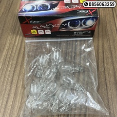 VT01054 Bóng cắm T15 - Stex 12V Trắng 