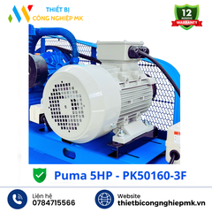 Máy Nén Khí Puma 5HP-3F
