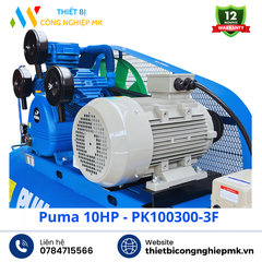 Máy Nén Khí Puma 10HP
